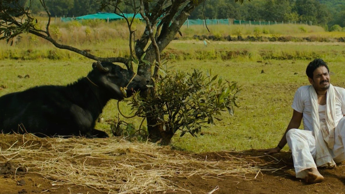 Buffalo Pulp still, man and buffalo in a field