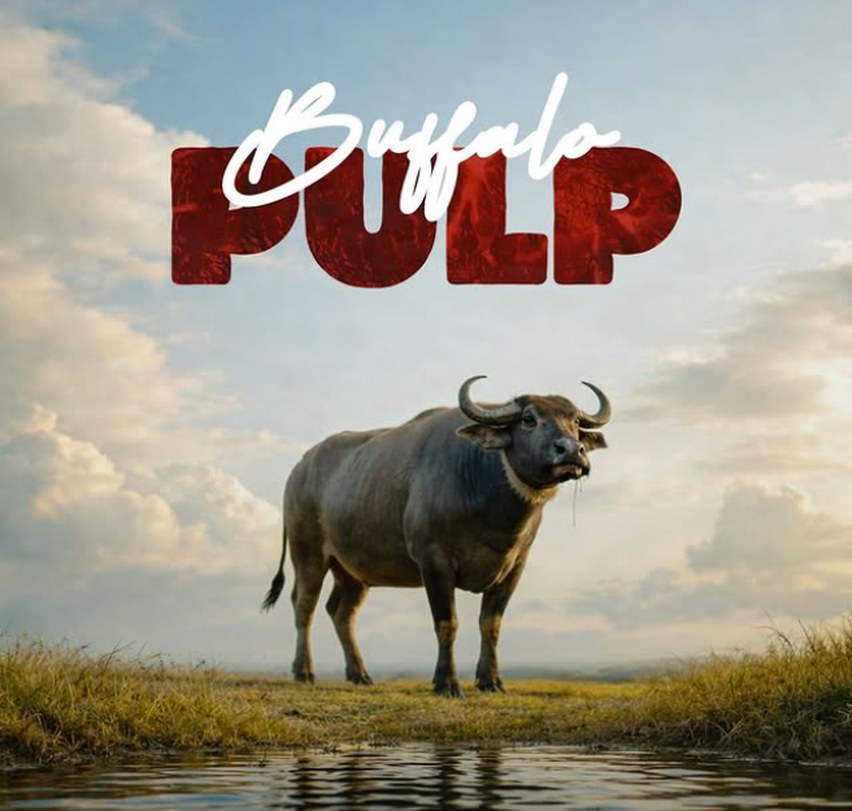 Buffalo Pulp poster