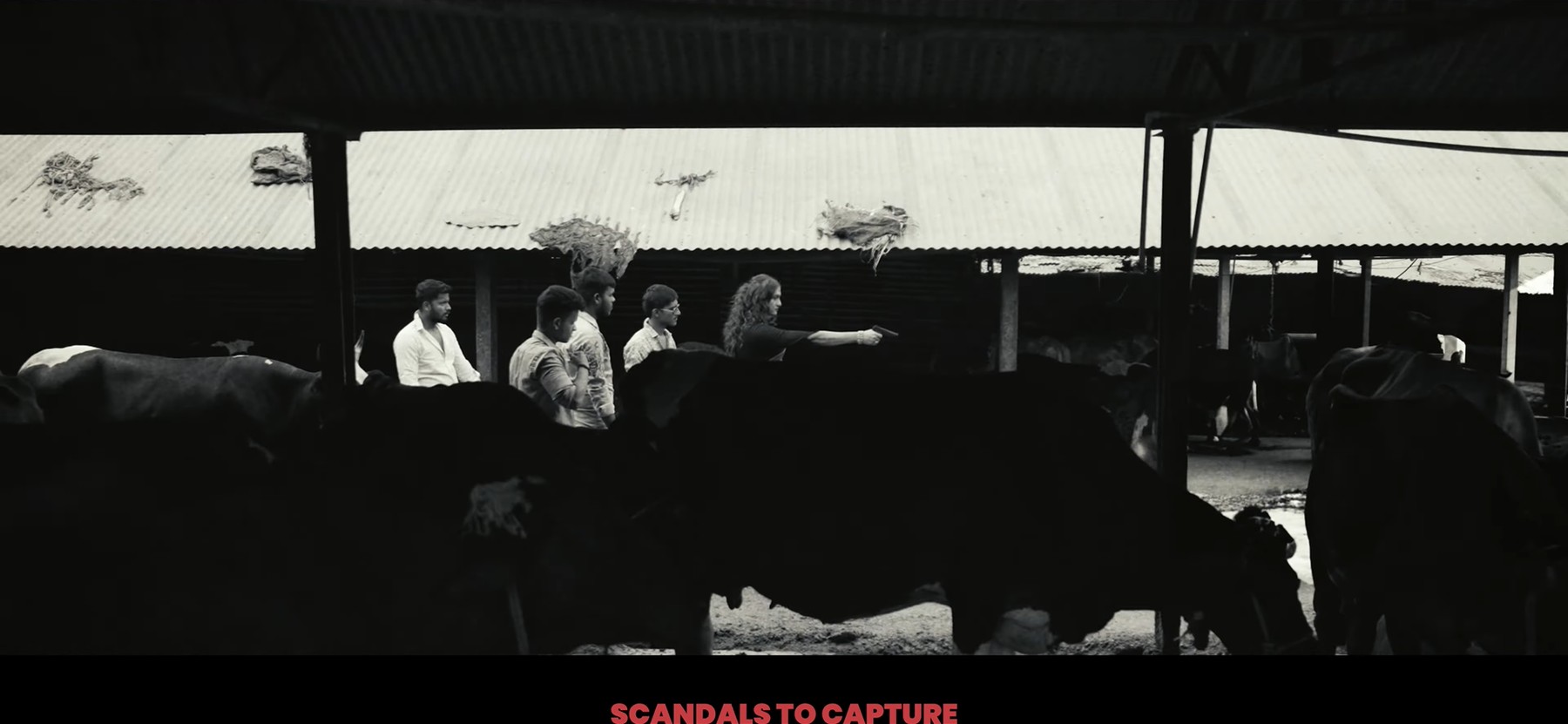 Group of men and a woman with a gun among cattle, still from Paychecks